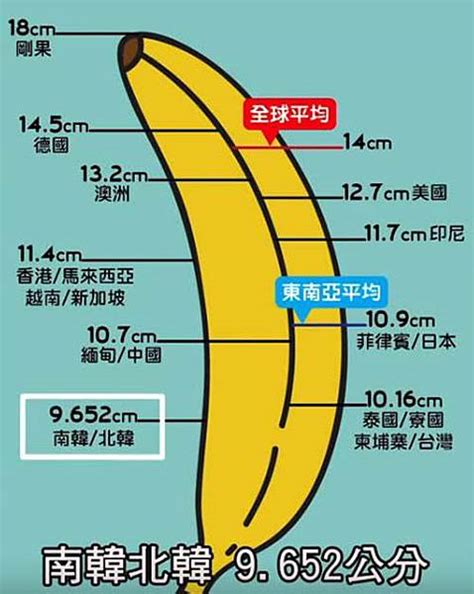 男人陰莖|粗度與長度哪個比較重要？泌尿科醫師：最理想的陰莖。